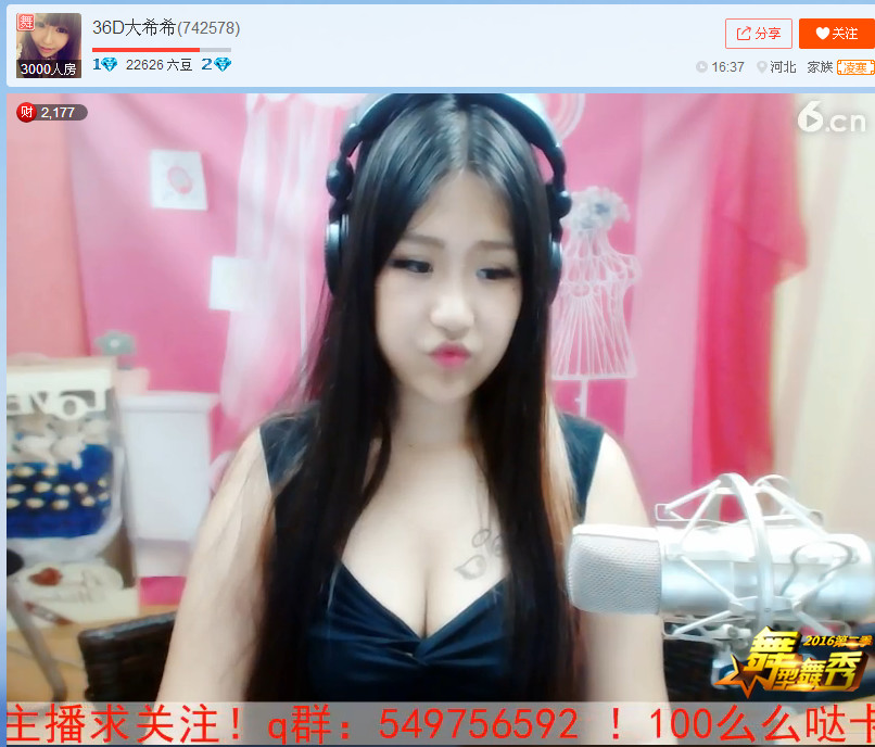 亲切家族的图片