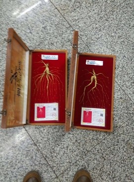 过往皆是浮云主播照片