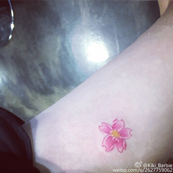 習慣有妮的图片