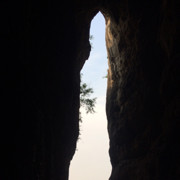 蓝洋馨梦海报