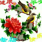 微信_2431032的頭像