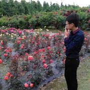 一人一城一生