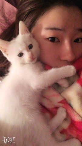 椒盐小瑶瑶主播照片
