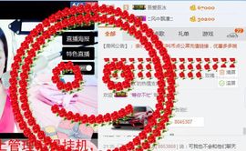 你的冰心回来了主播照片