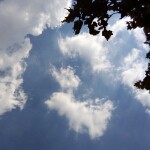 平凡之路yu海报