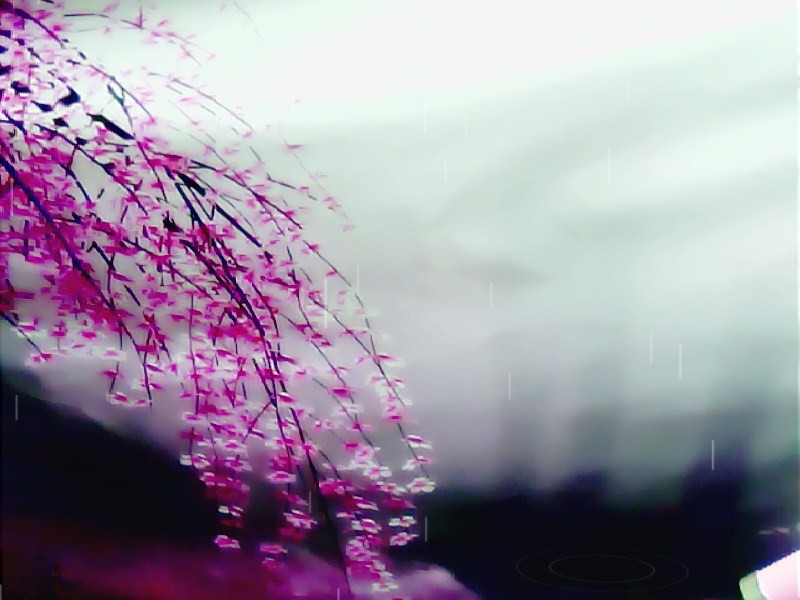 李慧、K歌kg的主播照片