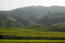 👫鹏鹏主播照片