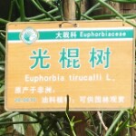 奕睿组合海报