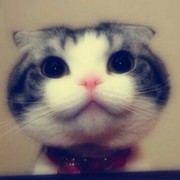 樱桃♞☞昆哥☜海报