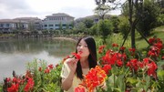 微信_3402408