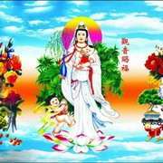 微信_3426506