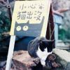 丶浅安时光@