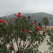 微信_3745574
