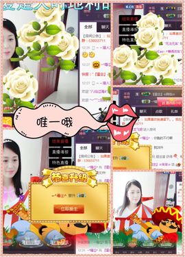 呆呆就此离开主播照片