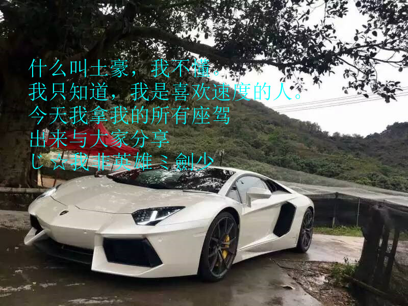 酒干淌卖无，我醉了的主播照片