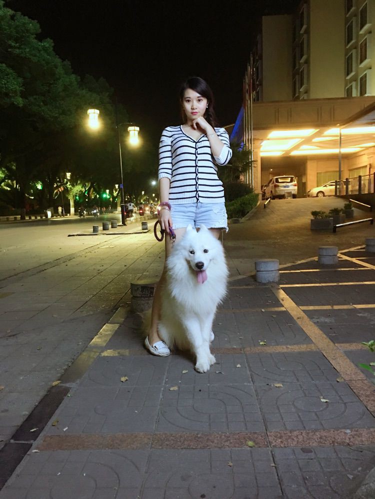 风中的风铃的图片