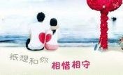 〃Ｔ❤ｚ＂随缘..主播照片