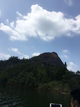 不会发光的鱼主播照片