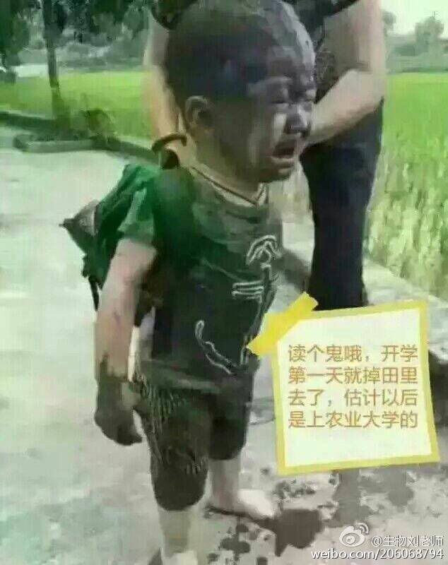 柠檬二姐啊的主播照片