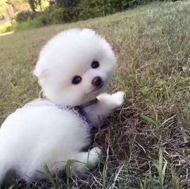 瑞木林莎主播照片