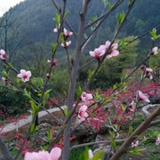 江哥～~。海报
