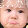 新人玩