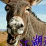 抱不住的太阳😊