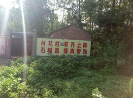 2025☃东北小哥主播照片