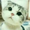 十月十日9y