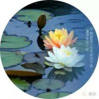 爱你已成❤我的习惯的主播照片