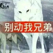 不笑又何妨