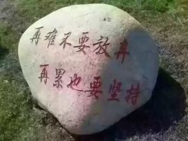 村花😯主播照片