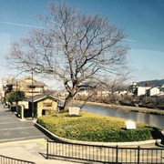 微信_6042181