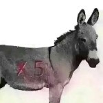 小目标好难