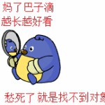 孤狼245