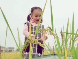cailu81主播照片