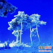 微信_6472194