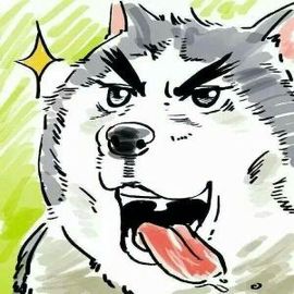 饭家有只猪主播照片