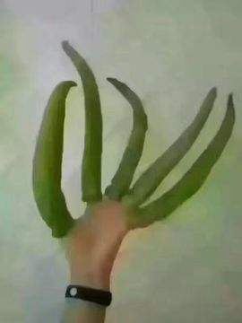 一迷♥阳光主播照片