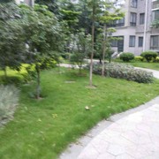 柳州好大哥