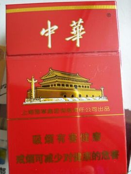 天使的伪装主播照片