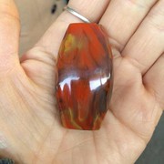 树根根