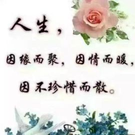 村花😯主播照片