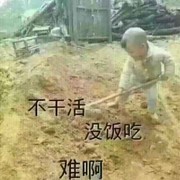 微信_6998645