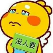 梦家保镖