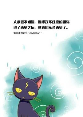 ღ小妖猫ღ主播照片