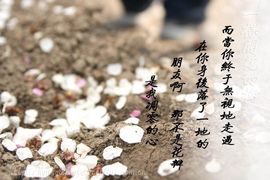 慕💕雪主播照片