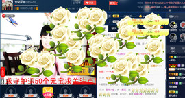 梨花不再期待主播照片