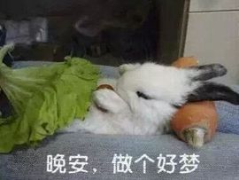 ゞ开心❋朵朵➹➹➹主播照片