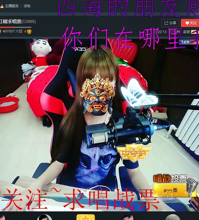 猫猫锚主播照片